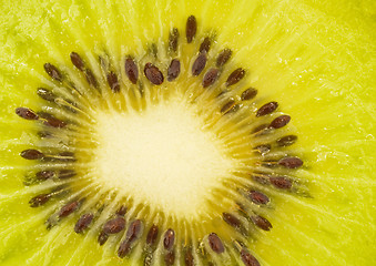 Image showing Extreme closeup of kiwi fruit
