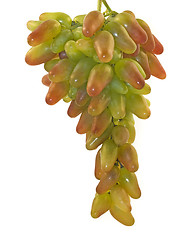 Image showing Bunch of grapes 