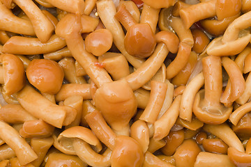 Image showing Mushrooms- tasty champignons 
