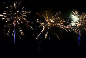 Image showing Fireworks at night in the black sky