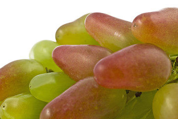Image showing Closeup of green grapes