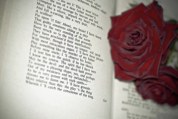 Image showing Red Roses on the book