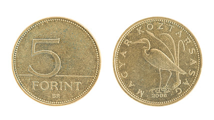 Image showing 5 Forint - hungarian money