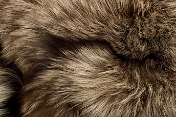 Image showing Polar Fox fur. Useful as texture