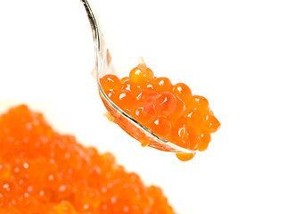 Image showing Close-up of spoon with Red caviar