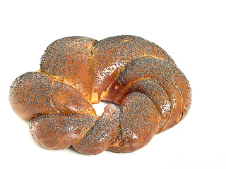 Image showing Tasty bagel with poppy seeds isolated 