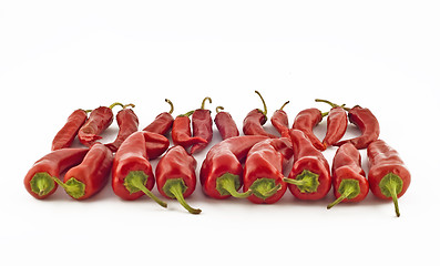 Image showing Red hot spicy paprika