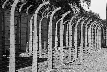 Image showing Wire fence in Auschwitz concentration camp