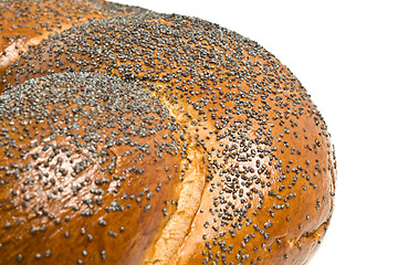 Image showing Close-up of bagel with poppy seeds