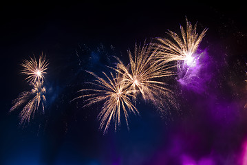 Image showing Colorful fireworks at night in the black sky