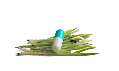 Image showing Pill and grass
