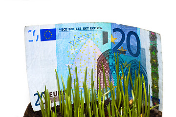 Image showing Money At Grass