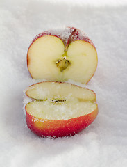 Image showing Apples In Snow