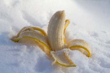 Image showing Ice  banana