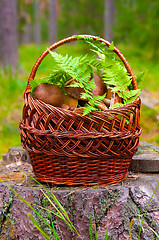 Image showing basket with mushrooms