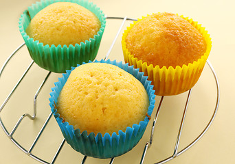 Image showing Baked Cup Cakes