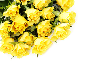 Image showing yellow roses