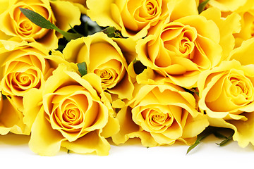 Image showing yellow roses