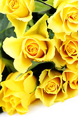 Image showing yellow roses