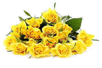 Image showing yellow roses