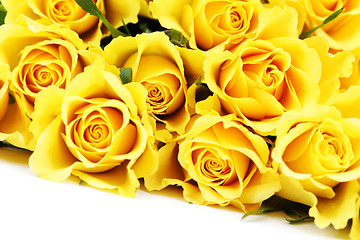 Image showing yellow roses