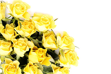 Image showing yellow roses