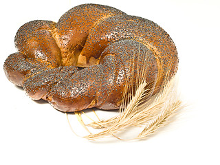 Image showing Wheat corn and Tasty bagel 