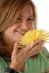 Image showing Yellow Flower