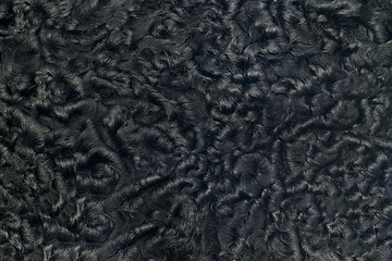 Image showing Closeup of black sheepskin fur