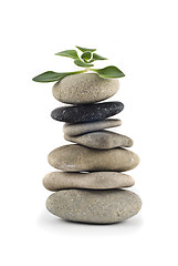 Image showing Green Life - balanced pebble tower