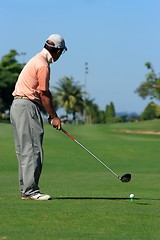 Image showing Golfer