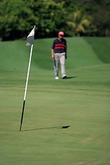 Image showing Golfer