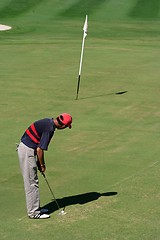 Image showing Golfer