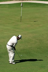 Image showing Golfer