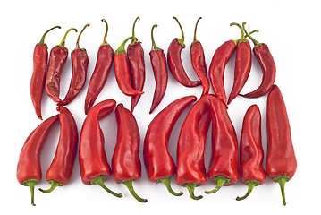 Image showing Red hot paprika 
