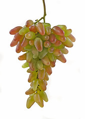 Image showing Bunch of beautiful green and red grapes