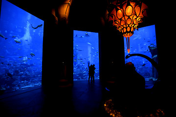 Image showing Aquarium