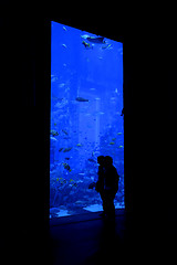 Image showing Aquarium