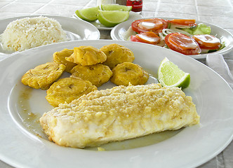 Image showing fresh fish fillet with tostones Corn Island Nicarauga