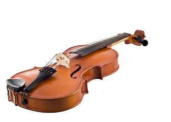 Image showing Beautiful violin isolated