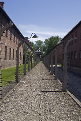 Image showing Wire fence in Auschwitz concentration camp