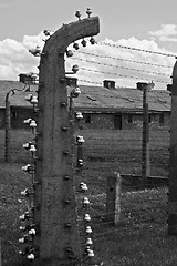 Image showing Wire fence and barracks in Auschwitz - Birkenau concentration ca