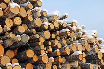 Image showing Pile of Wooden Logs in Winter