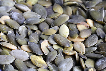 Image showing Pumpkin Seeds