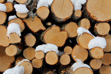 Image showing Birch Logs Background