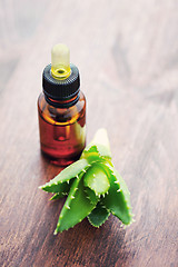 Image showing aloe vera essential oil