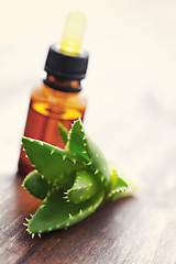 Image showing aloe vera essential oil