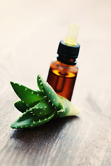 Image showing aloe vera essential oil