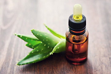 Image showing aloe vera essential oil