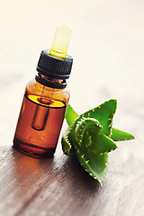 Image showing aloe vera essential oil